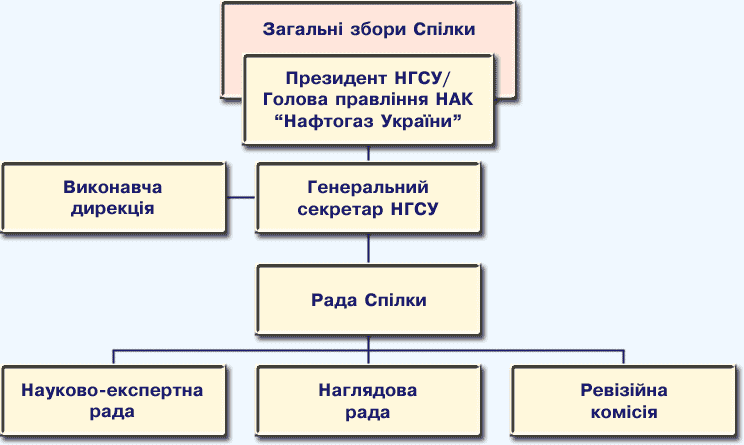 Структура НГСУ